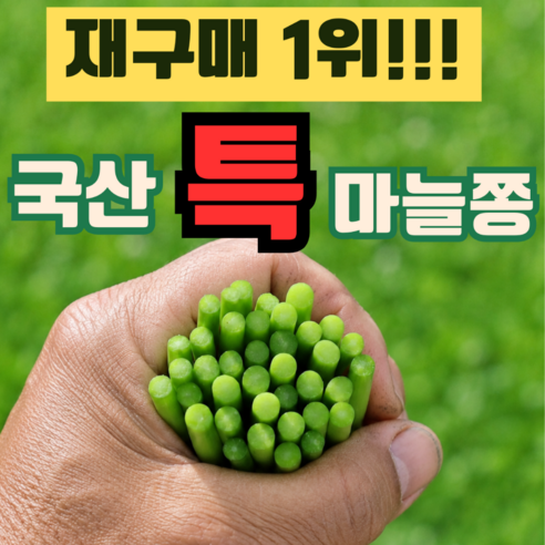 [재구매1위] 국산 햇 마늘쫑 특품 감사특가
