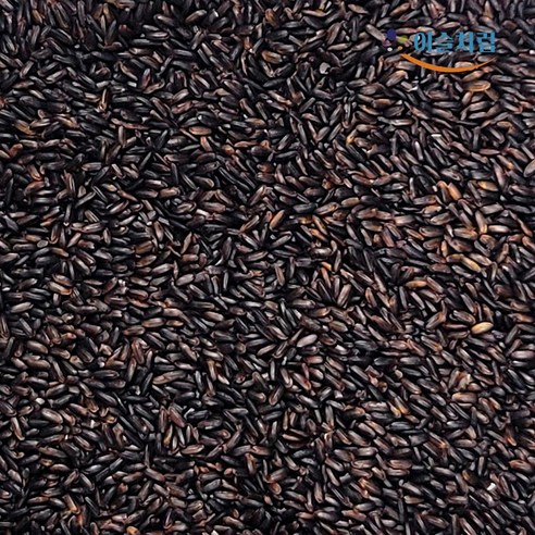 2025년산 국산 메흑미 진흑미 멥쌀흑미 검은쌀 검정쌀 2Kg