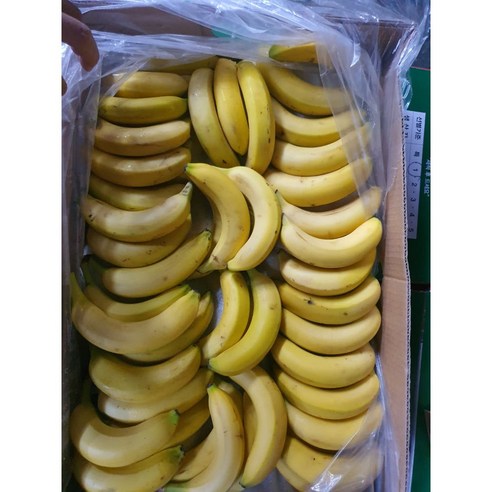 실속형 고당도 낱발 바나나 3kg 6kg 13kg [원산지:원산지:수입산(필리핀/페루/에콰도르/콜롬비아/베트낭 등)], 1세트, 13kg 내외