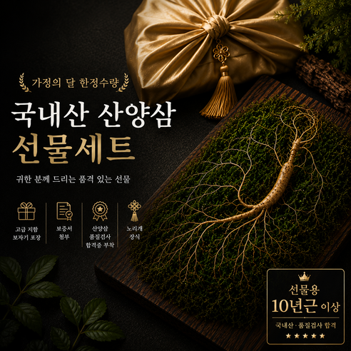 농부띠끄 가정의달 선물세트 산양산삼 10년근, 강원도 산양산삼 장뇌삼 수삼 인삼 한방재료, 1세트, 10개입