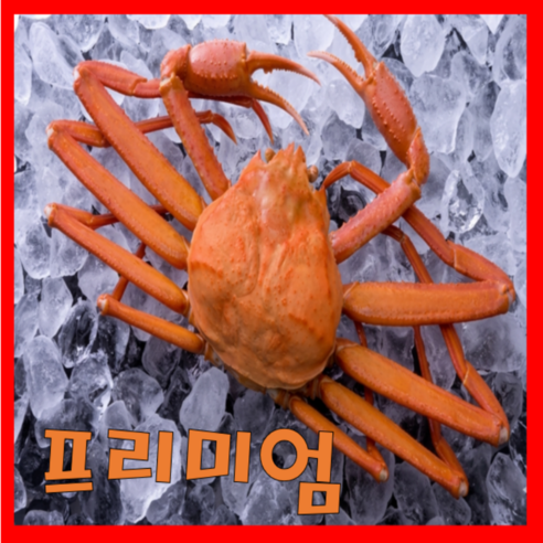 [산지특품] 선주직송 살꽉찬 울진후포항 자숙붉은대게, 1박스, 3미*1.6kg