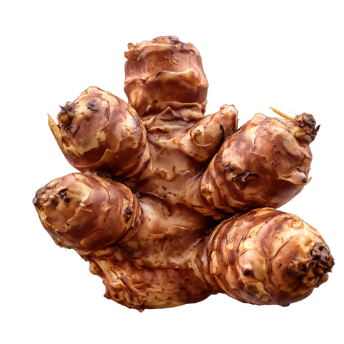 햇 자색돼지감자 생돼지감자 뚱딴지감자, 1박스, 1kg