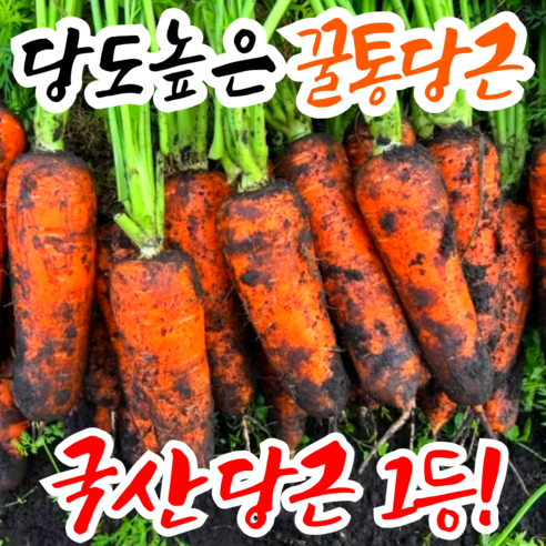 [국산당근1등] 꿀통당근 초특가 국내산 햇 당근, 1박스, 왕 5kg