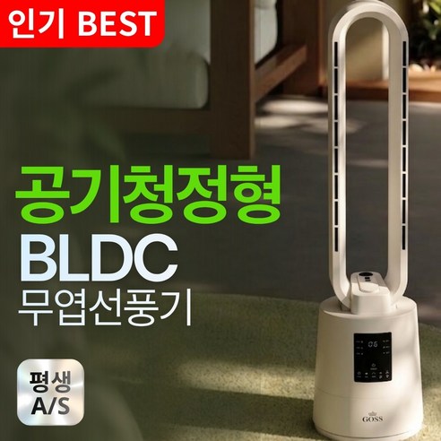 [홈뉴] 6세대 저소음 BLDC 12단 무풍 공기청정 활성탄필터 날개없는 선풍기, GOS-2049