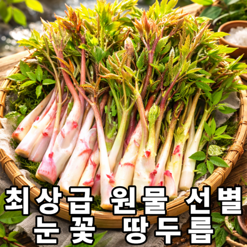 [재업로드요청] 최상급선별 국내산 눈꽃 땅두릅
