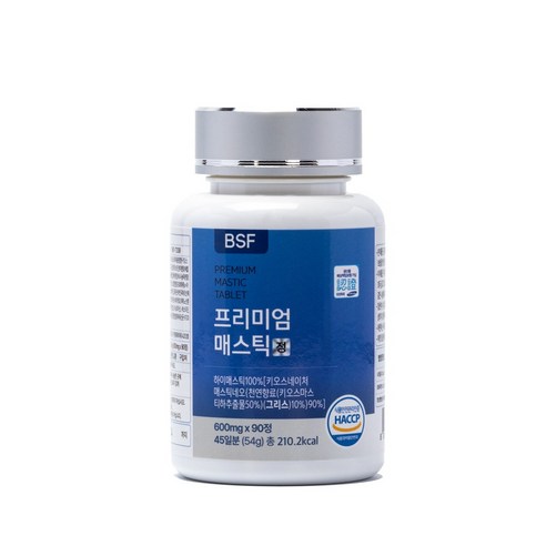 BSF 프리미엄 매스틱정 HACCP 인증 600mg x 90정