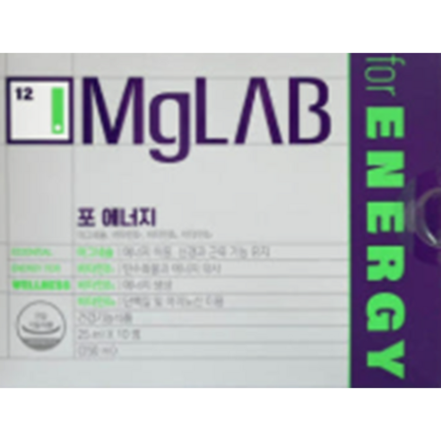 마그랩 포 에너지