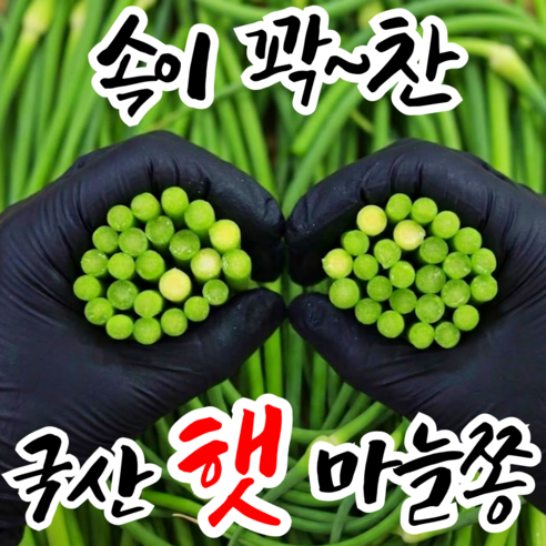 [타임특가] 당일수확 부드럽고 아삭한 100%국내산 햇 마늘쫑, 1박스, 1kg