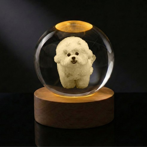 [맞춤 제작 상품] 강아지 고양이 3D각인 멍냥구슬 소담구슬, [어댑터 포함] 웜 라이트 조명