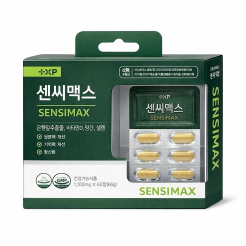 징코 은행잎추출물 혈행개선 항산화 도움 식약처인증, 120박스, 1정