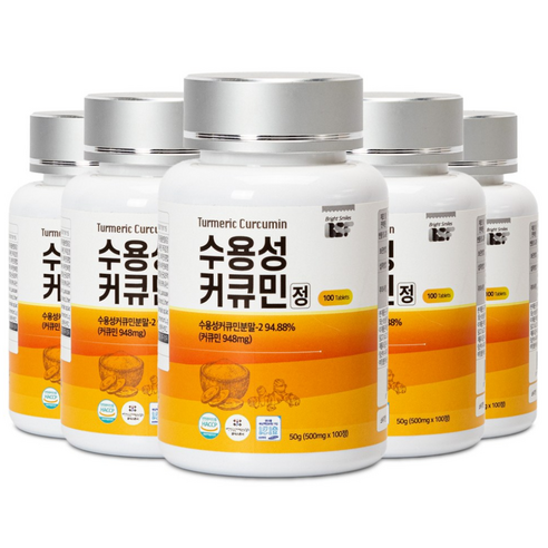백세식품 BSF 수용성 강황 커큐민 정 500mg x 100정 HACCP인증, 5개, 100정