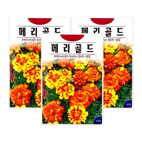 KS종묘 메리골드 100립 루테인 홀꽃 식용꽃 일년생 꽃씨 씨앗 종자, 3개