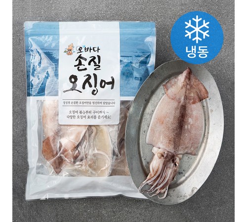 다양한 오징어 요리