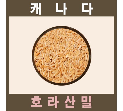 다양한 활용법으로 맛있게 즐기는 카무트