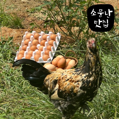 소문난맛집 유정란 난각번호1번 계란 대란 자연방사 무항생제 HACCP인증