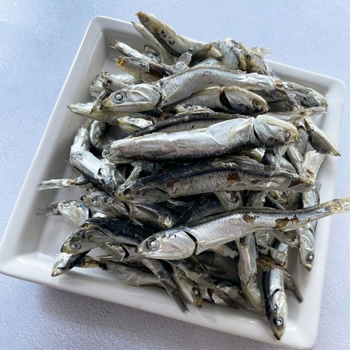 울돌목 국내산 남해안 일반 굵은 다시멸치 1.5kg, 1.5kg, 1개