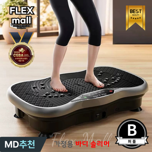 플렉스몰 덜덜이 가정용 다이어트 유산소 실내운동 홈트 전신 전동 진동 운동기구 바디슬리머, B