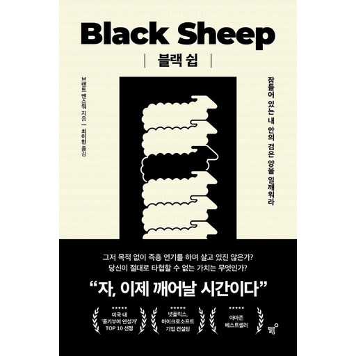 블랙 쉽:잠들어 있는 내 안의 검은 양을 일깨워라