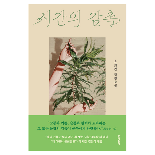 시간의 감촉