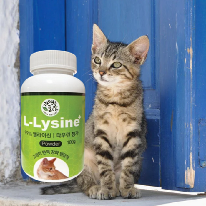 길 고양이 구내염 약 치료 항생제 잇몸 염증 영양제