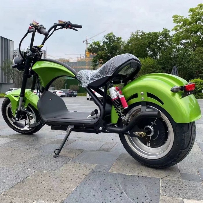 할리 전기스쿠터 고출력 전동스쿠터 전기바이크 엄청빠른