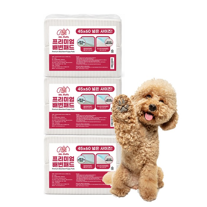 닥터파파 프리미엄 배변패드 20g, 100개입, 3개