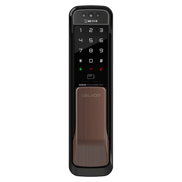 솔리티 얼굴인식 무타공 푸시풀 손잡이 도어락 WP500A