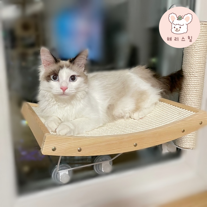해리스힐 고양이 원목 스크래쳐 창문 해먹, 1개, 스크래쳐 해리스힐 고양이 원목 스크래쳐 창문 해먹, 1개, 스크래쳐