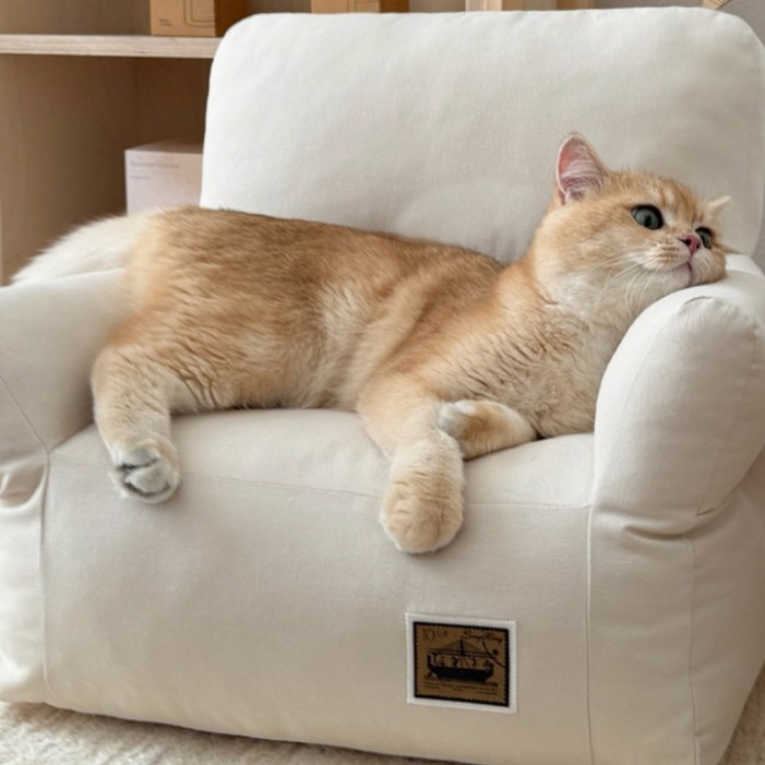 데일리테일 펫소파 강아지방석 고양이 쿠션, 1개, 아몬드크림