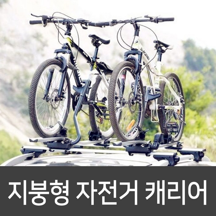 자전거 지붕형 캐리어, 1개