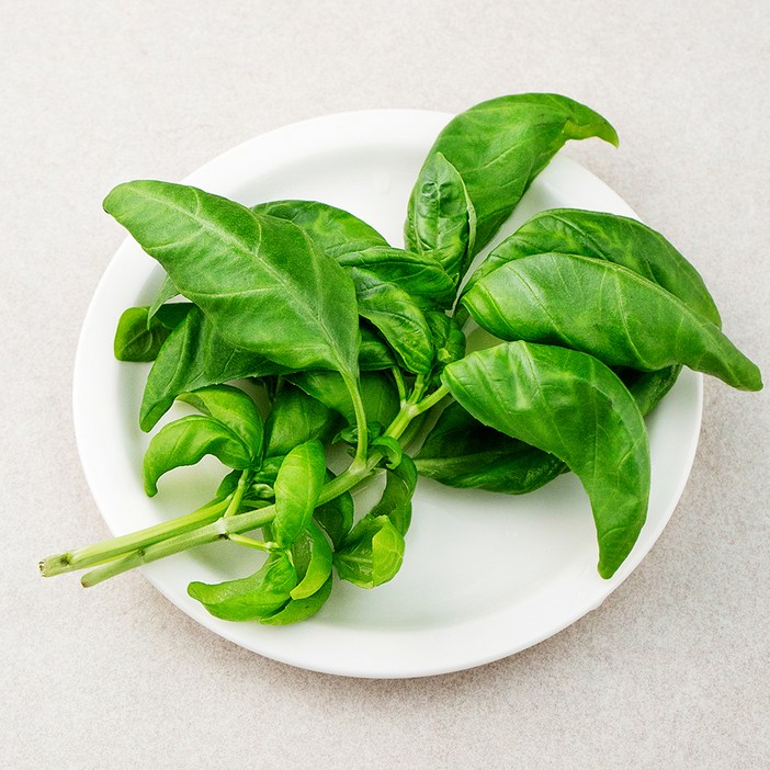 친환경 바질