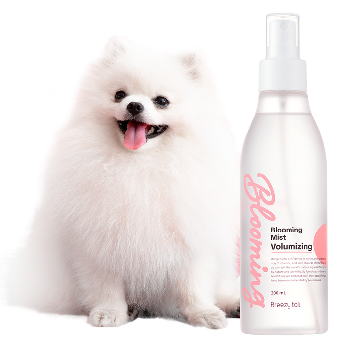 브리지테일 블루밍 강아지 볼류마이징 미스트 허브머스크향, 200ml, 1개