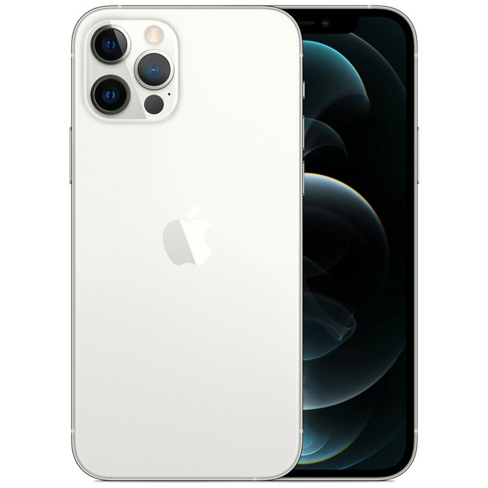 Apple 아이폰 12 Pro 자급제