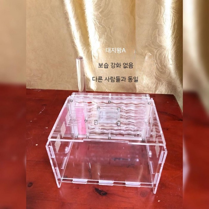 사육장 개미 키우기 개미굴 아크릴 달팽이집 아파트 애완곤충, 1개