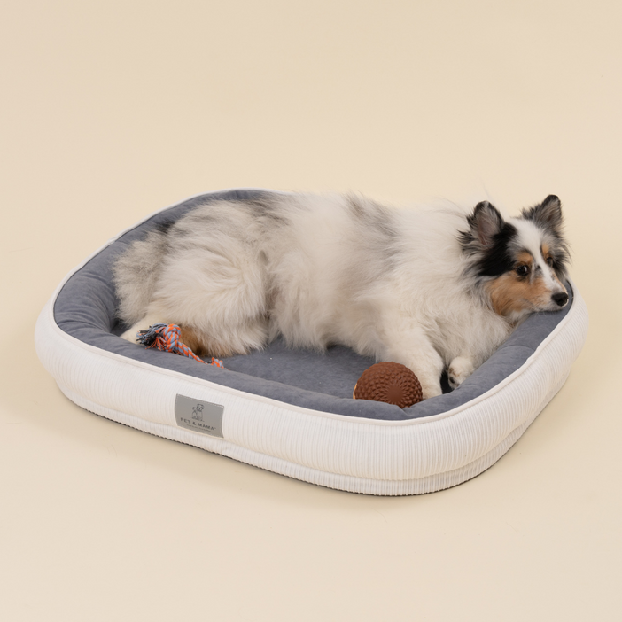펫앤마마 반려동물 꿀잠 방석, 1개, White(화이트)