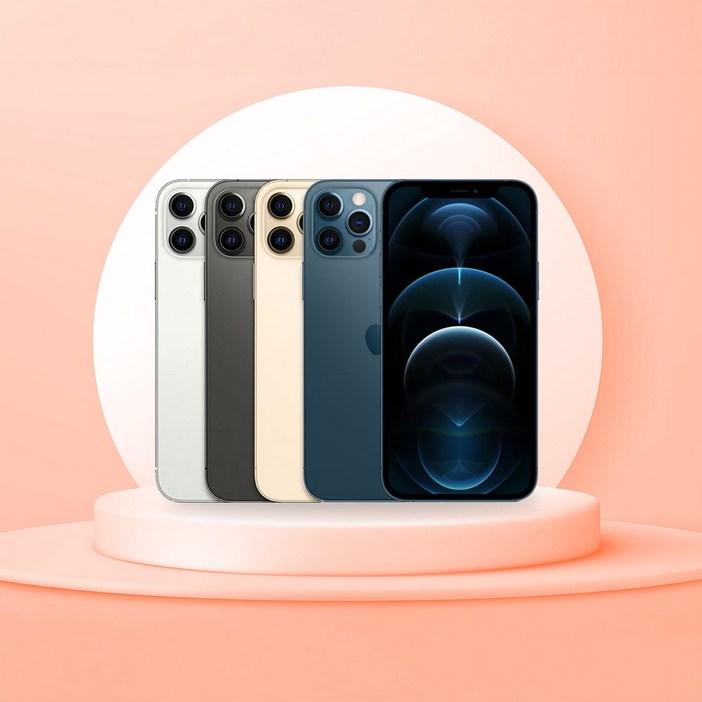 Apple 아이폰 12 Pro 자급제