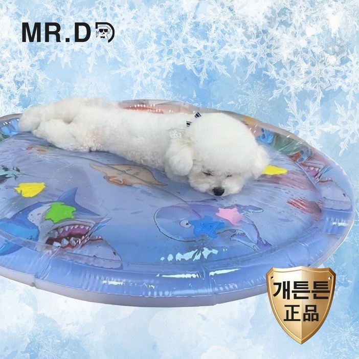 개두꺼운 미스터댕댕 고양이 강아지 쿨 방석 워터 매트 50수