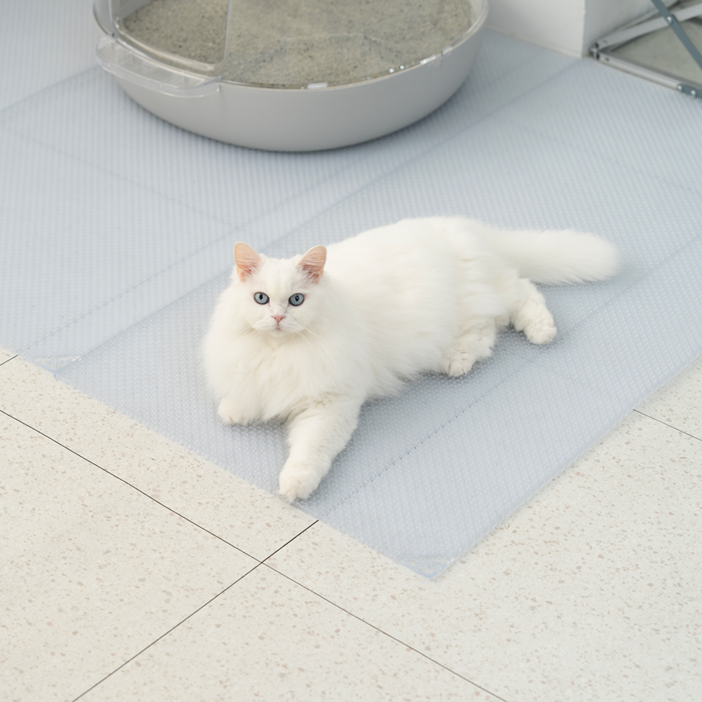 냥쌤 투명 캐치매트 고양이 모래 매트 사막화 방지 발판 패드