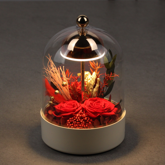 파블라 프리저브드플라워 유리돔 무선 LED 무드등, 딥레드