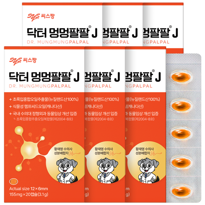 닥터멍멍팔팔J 강아지관절영양제 초록입홍합오일 햄프씨드오일 관절통증 피모개선 슬개골영양제, 6박스, 뼈/관절강화, 20정