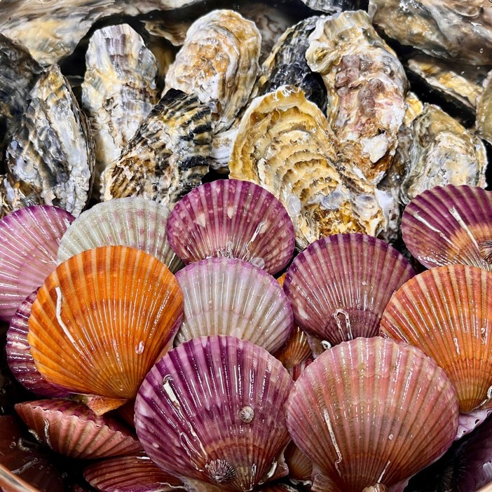 통영예스수산 통영 제철 각굴,석화3kg  제철 홍가리비 캠핑 세트, 1개, 석화3kg홍가리비3kg