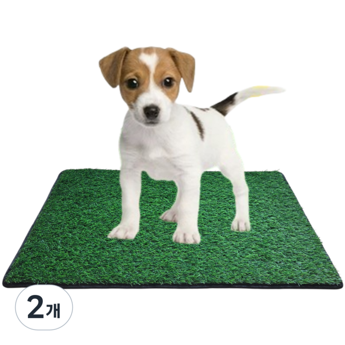 플렉스몰 논슬립 물세탁가능 대형 실내배변 배변패드 배변훈련 잔디배변판 인조잔디 소변패드 잔디화장실, 2개, 그린