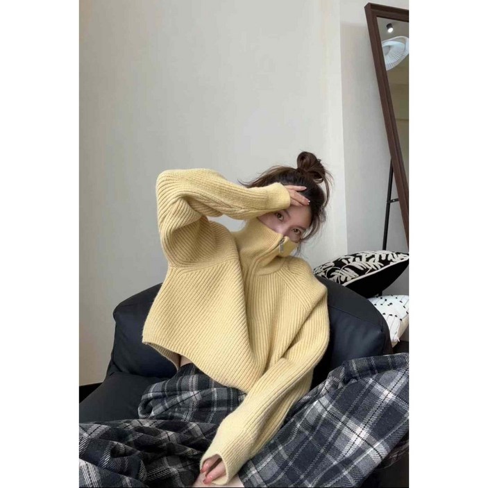 반집업 니트 크롭 스웨터 카라 하이넥