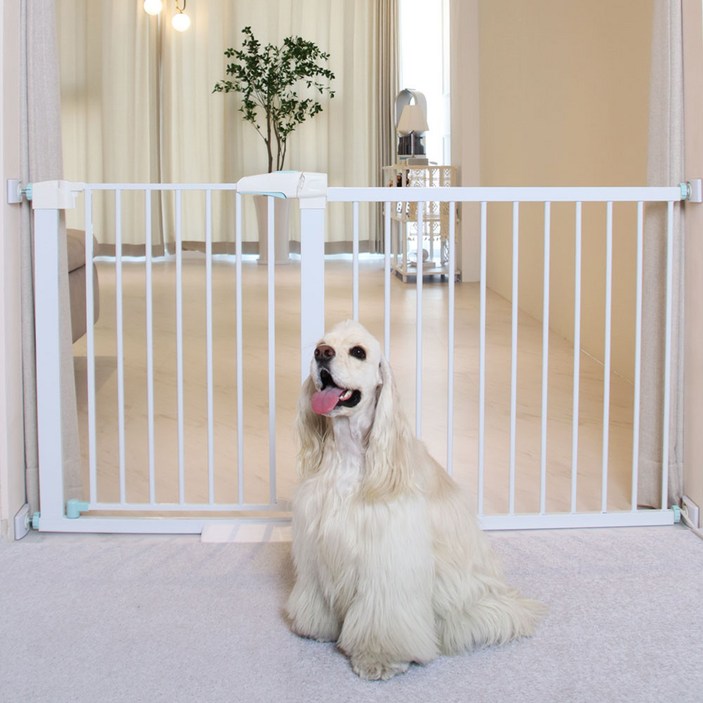 펫초이스 프리미엄 강아지 반자동 안전문