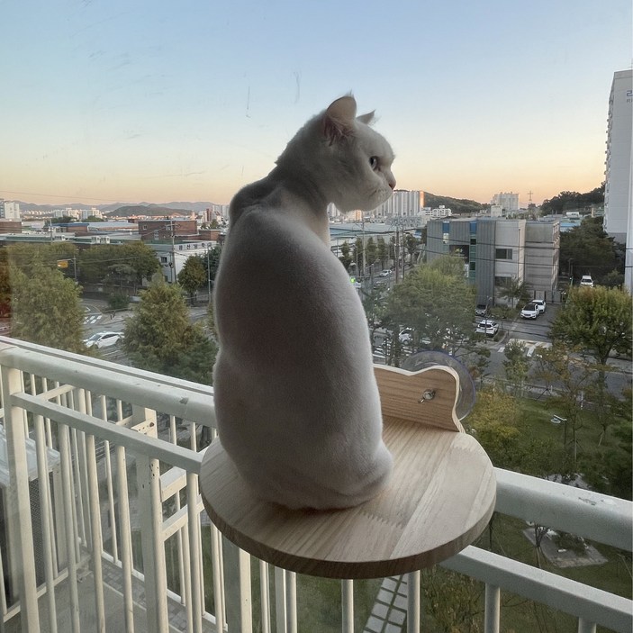캣워커 디바인 고양이 창문 캣타워 캣워커