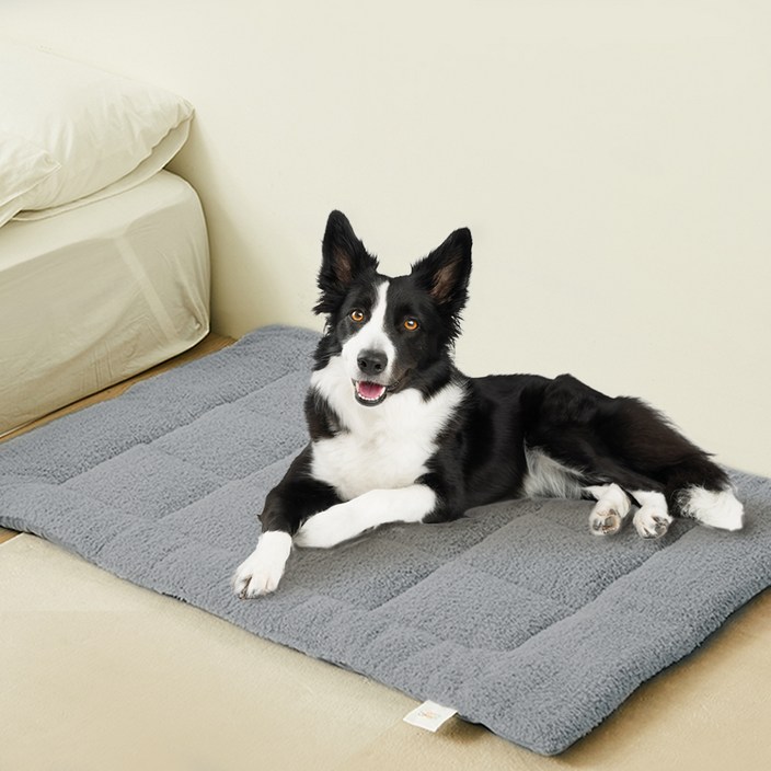 코멧 펫 소프트 통세탁 양면 쿠션