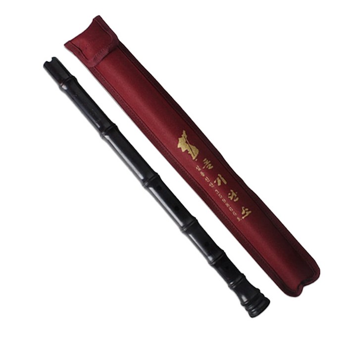 돌기 플라스틱 단소