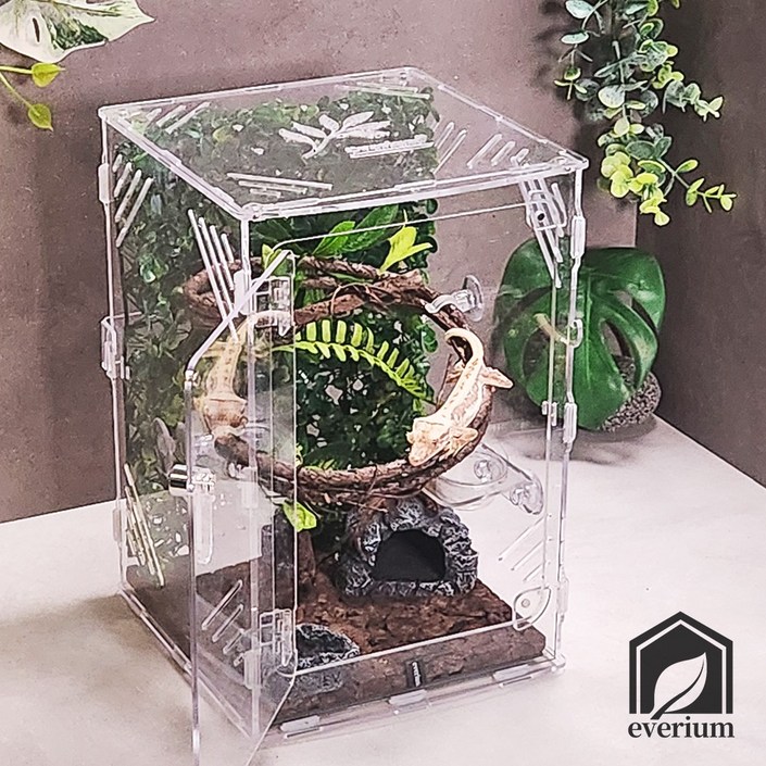 에버리움 크레스티드 게코 도마뱀 아크릴 사육장 세트 - 소형 20x20x30cm