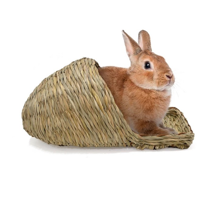 에밀리펫 티모시랜드 바니은신처 ,토끼은신처,기니피그은신처