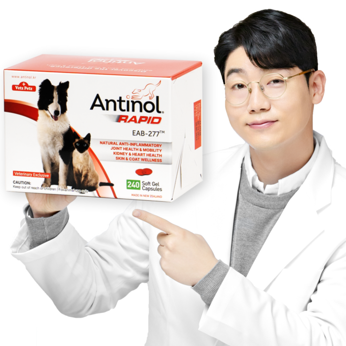 안티놀 래피드 240정, 240정, 뼈관절강화, 1개